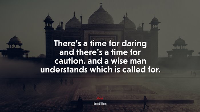 There’s a time for daring and there’s a time for caution, and a wise man understands which is called for. | Robin Williams quote