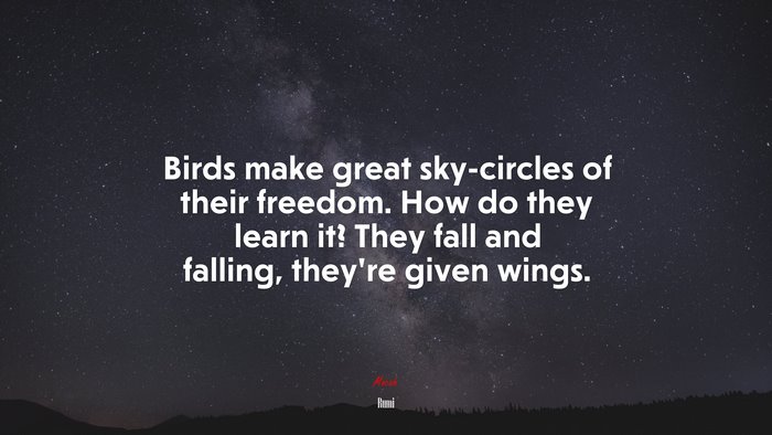 Birds make great sky-circles of their freedom. How do they learn it? They fall and falling, they’re given wings. | Rumi quote