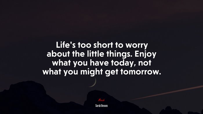 Life’s too short to worry about the little things. Enjoy what you have today, not what you might get tomorrow. | Sarah Dessen quote