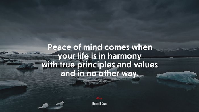 Peace of mind comes when your life is in harmony with true principles and values and in no other way. | Stephen R. Covey quote