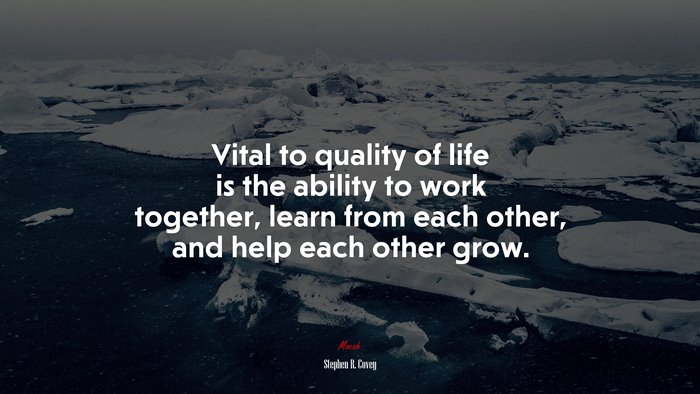 Vital to quality of life is the ability to work together, learn from each other, and help each other grow. | Stephen R. Covey quote