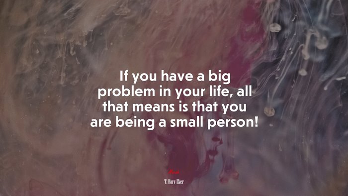 If you have a big problem in your life, all that means is that you are being a small person! | T. Harv Eker quote