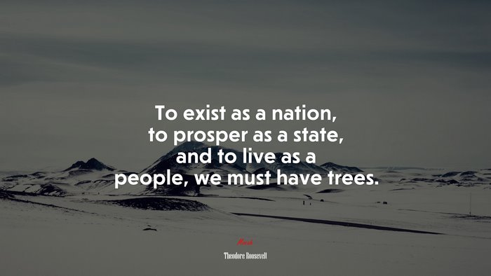 To exist as a nation, to prosper as a state, and to live as a people, we must have trees. | Theodore Roosevelt quote
