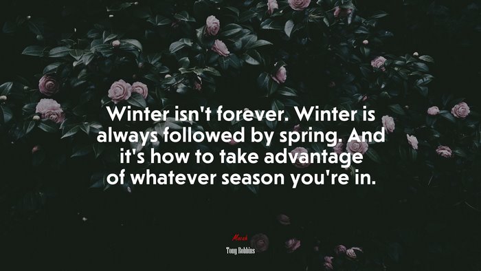 Winter isn’t forever. Winter is always followed by spring. And it’s how to take advantage of whatever season you’re in. | Tony Robbins quote