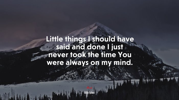 Little things I should have said and done I just never took the time You were always on my mind. | Willie Nelson quote