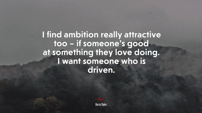 I find ambition really attractive too – if someone’s good at something they love doing. I want someone who is driven. | Harry Styles quote