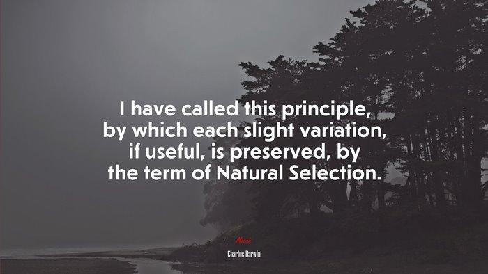 I have called this principle, by which each slight variation, if useful, is preserved, by the term of Natural Selection. | Charles Darwin quote