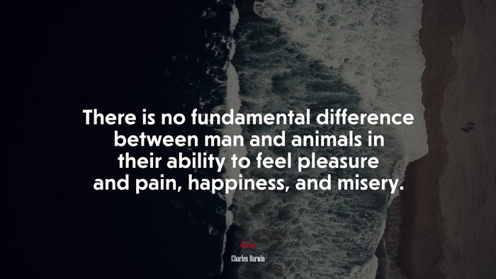 There is no fundamental difference between man and animals in their ability to feel pleasure and pain, happiness, and misery. | Charles Darwin quote