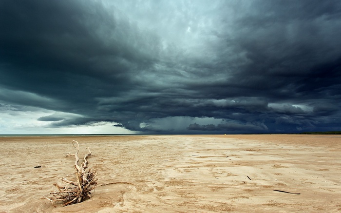 Stormy clouds over a sandy beach with driftwood