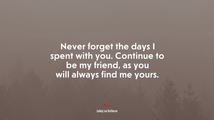 Never forget the days I spent with you. Continue to be my friend, as you will always find me yours. | Ludwig van Beethoven quote
