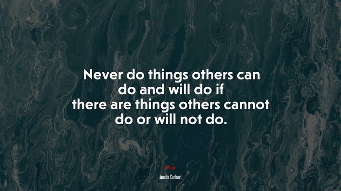 Never do things others can do and will do if there are things others cannot do or will not do. | Amelia Earhart quote