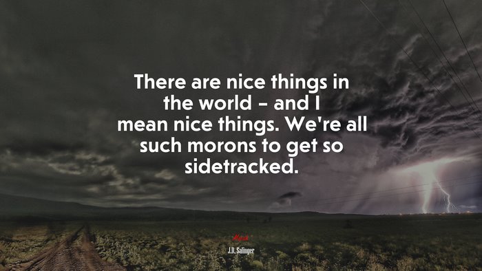 There are nice things in the world – and I mean nice things. We’re all such morons to get so sidetracked. | J.D. Salinger quote