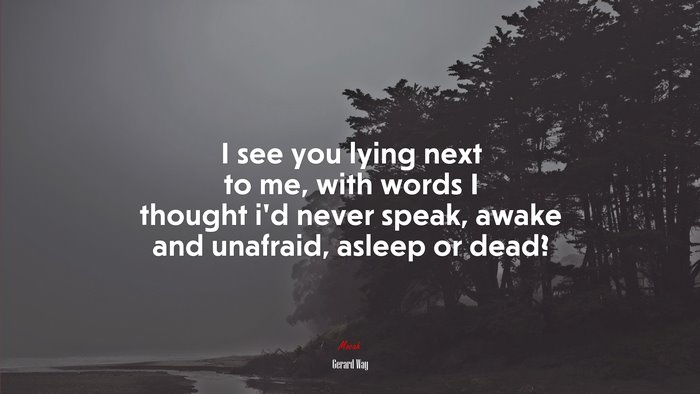 I see you lying next to me, with words I thought i’d never speak, awake and unafraid, asleep or dead? | Gerard Way quote