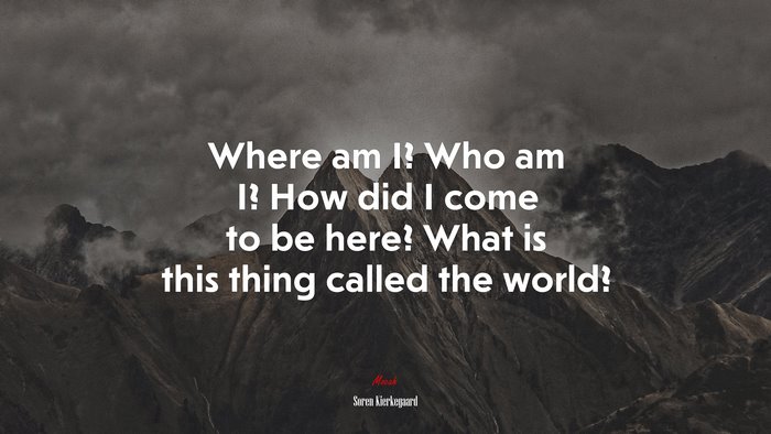 Where am I? Who am I? How did I come to be here? What is this thing called the world? | Soren Kierkegaard quote
