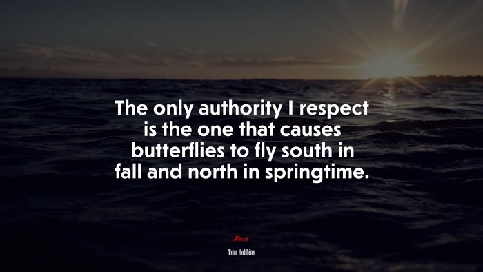The only authority I respect is the one that causes butterflies to fly south in fall and north in springtime. | Tom Robbins quote