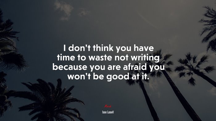I don’t think you have time to waste not writing because you are afraid you won’t be good at it. | Anne Lamott quote