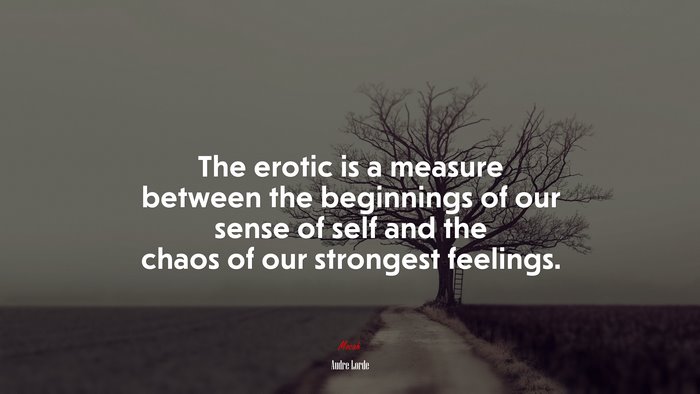 The erotic is a measure between the beginnings of our sense of self and the chaos of our strongest feelings. | Audre Lorde quote