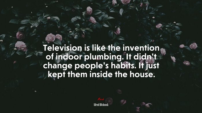 Television is like the invention of indoor plumbing. It didn’t change people’s habits. It just kept them inside the house. | Alfred Hitchcock quote