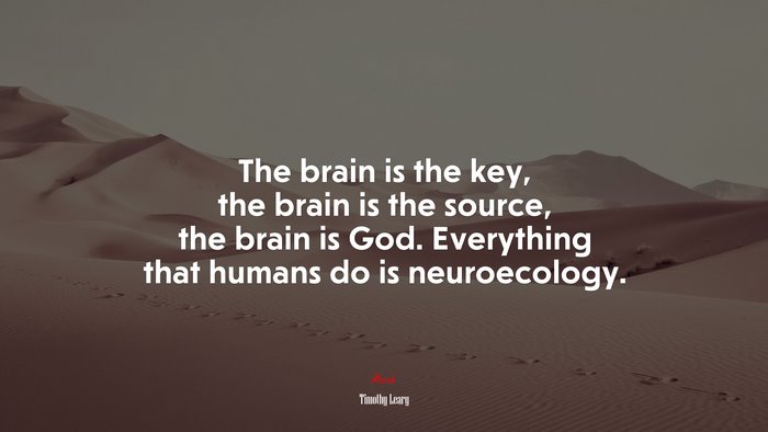The brain is the key, the brain is the source, the brain is God. Everything that humans do is neuroecology. | Timothy Leary quote