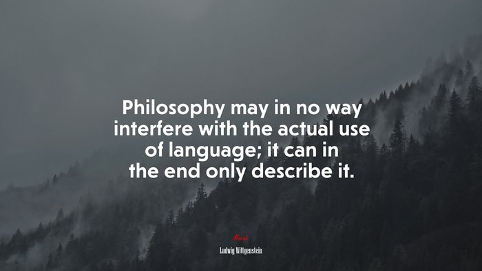 Philosophy may in no way interfere with the actual use of language; it can in the end only describe it. | Ludwig Wittgenstein quote