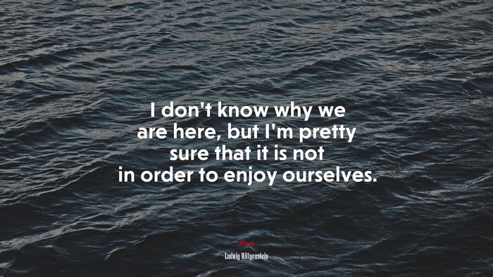 I don’t know why we are here, but I’m pretty sure that it is not in order to enjoy ourselves. | Ludwig Wittgenstein quote