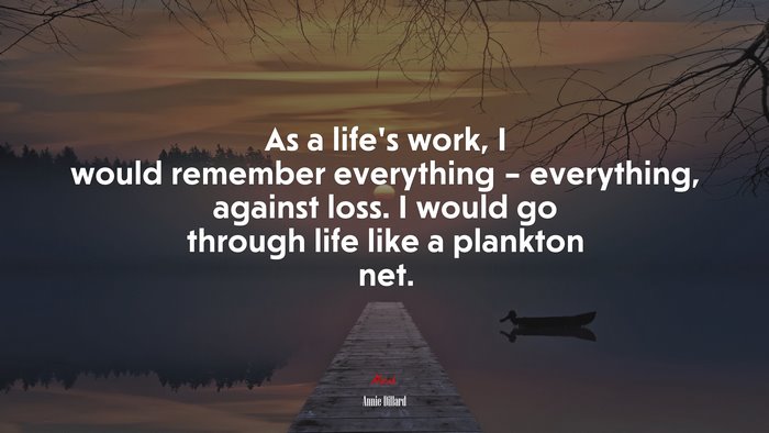 As a life’s work, I would remember everything – everything, against loss. I would go through life like a plankton net. | Annie Dillard quote