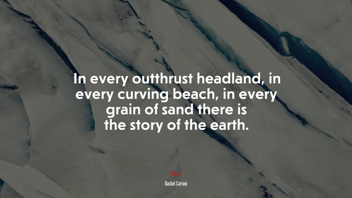 In every outthrust headland, in every curving beach, in every grain of sand there is the story of the earth. | Rachel Carson quote