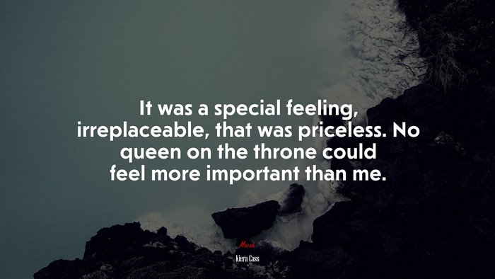 It was a special feeling, irreplaceable, that was priceless. No queen on the throne could feel more important than me. | Kiera Cass quote