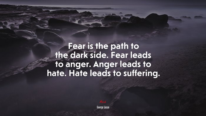 Fear is the path to the dark side. Fear leads to anger. Anger leads to hate. Hate leads to suffering. | George Lucas quote