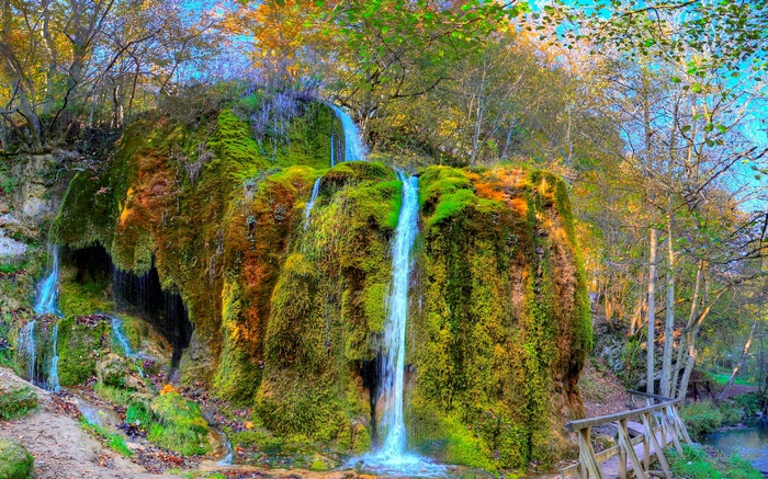 Moss-covered waterfall in a forest with a wooden bridge