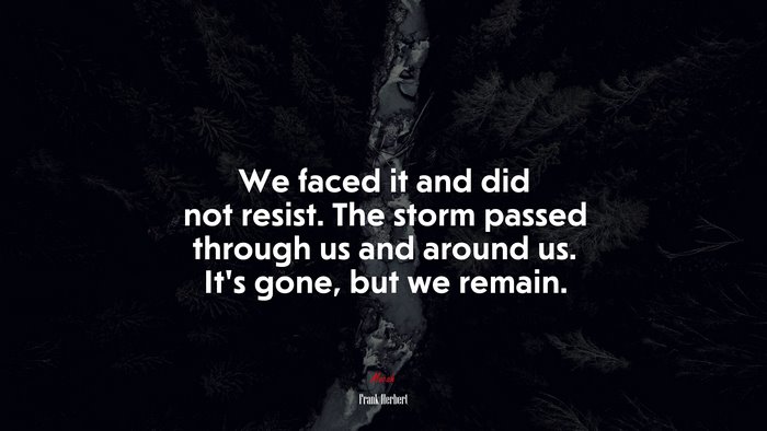 We faced it and did not resist. The storm passed through us and around us. It’s gone, but we remain. | Frank Herbert quote