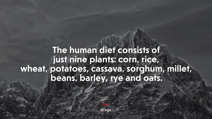 The human diet consists of just nine plants: corn, rice, wheat, potatoes, cassava, sorghum, millet, beans, barley, rye and oats. | Bill Bryson quote