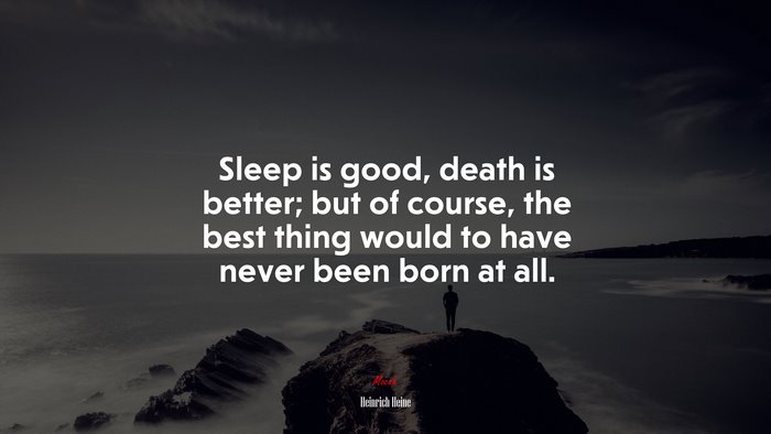 Sleep is good, death is better; but of course, the best thing would to have never been born at all. | Heinrich Heine quote
