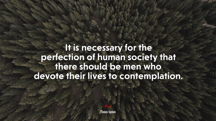 It is necessary for the perfection of human society that there should be men who devote their lives to contemplation. | Thomas Aquinas quote