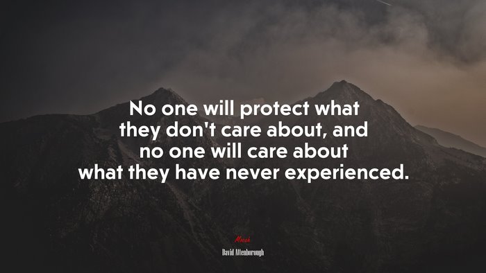 No one will protect what they don’t care about, and no one will care about what they have never experienced. | David Attenborough quote