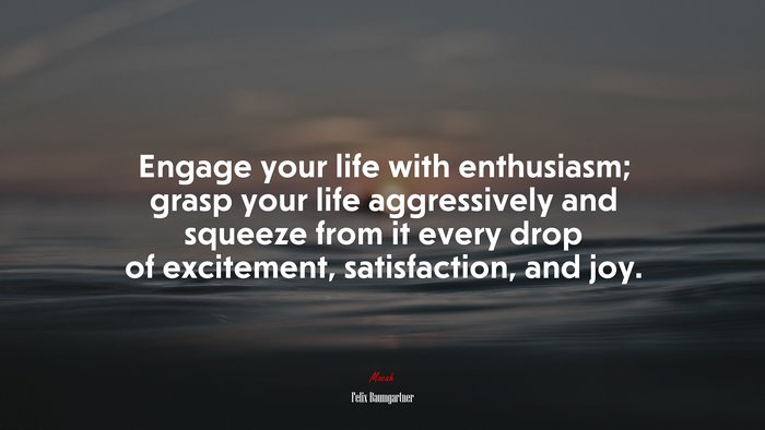 Engage your life with enthusiasm; grasp your life aggressively and squeeze from it every drop of excitement, satisfaction, and joy. | Felix Baumgartner quote