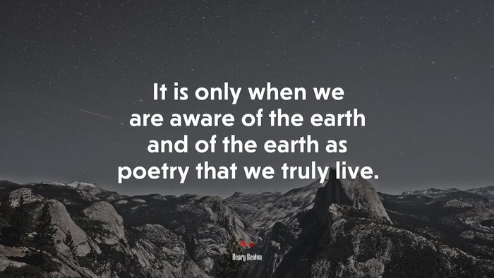 It is only when we are aware of the earth and of the earth as poetry that we truly live. | Henry Beston quote