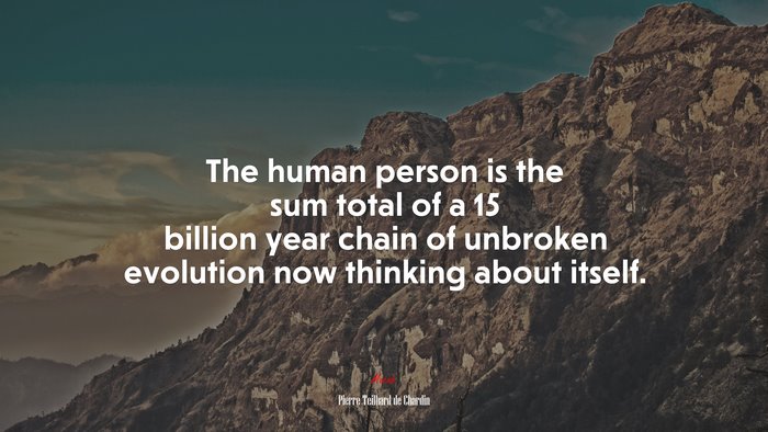 The human person is the sum total of a 15 billion year chain of unbroken evolution now thinking about itself. | Pierre Teilhard de Chardin quote