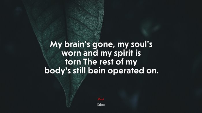 My brain’s gone, my soul’s worn and my spirit is torn The rest of my body’s still bein operated on. | Eminem quote