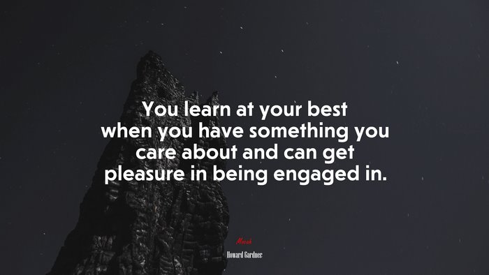 You learn at your best when you have something you care about and can get pleasure in being engaged in. | Howard Gardner quote
