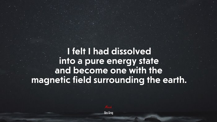 I felt I had dissolved into a pure energy state and become one with the magnetic field surrounding the earth. | Alex Grey quote