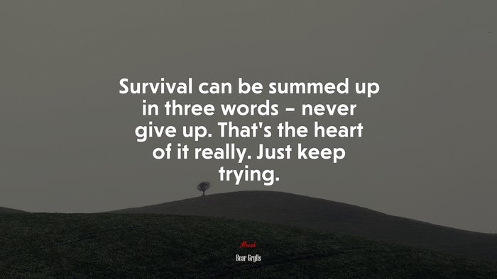 Survival can be summed up in three words – never give up. That’s the heart of it really. Just keep trying. | Bear Grylls quote