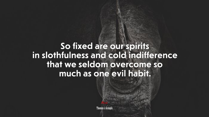 So fixed are our spirits in slothfulness and cold indifference that we seldom overcome so much as one evil habit. | Thomas à Kempis quote