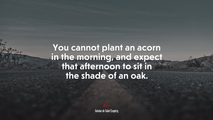 You cannot plant an acorn in the morning, and expect that afternoon to sit in the shade of an oak. | Antoine de Saint-Exupéry quote