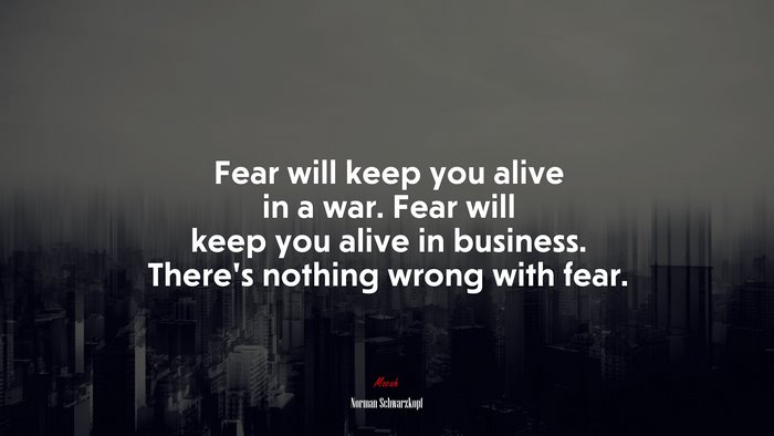 Fear will keep you alive in a war. Fear will keep you alive in business. There’s nothing wrong with fear. | Norman Schwarzkopf quote