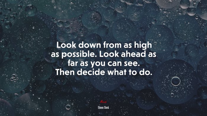 Look down from as high as possible. Look ahead as far as you can see. Then decide what to do. | Simon Sinek quote