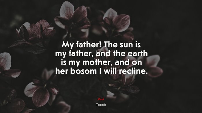 My father! The sun is my father, and the earth is my mother, and on her bosom I will recline. | Tecumseh quote