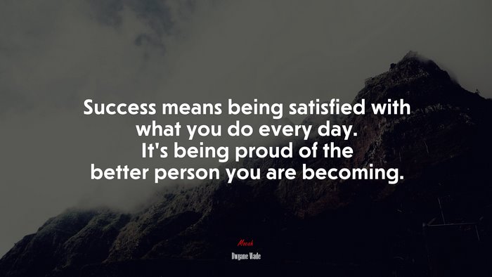 Success means being satisfied with what you do every day. It’s being proud of the better person you are becoming. | Dwyane Wade quote