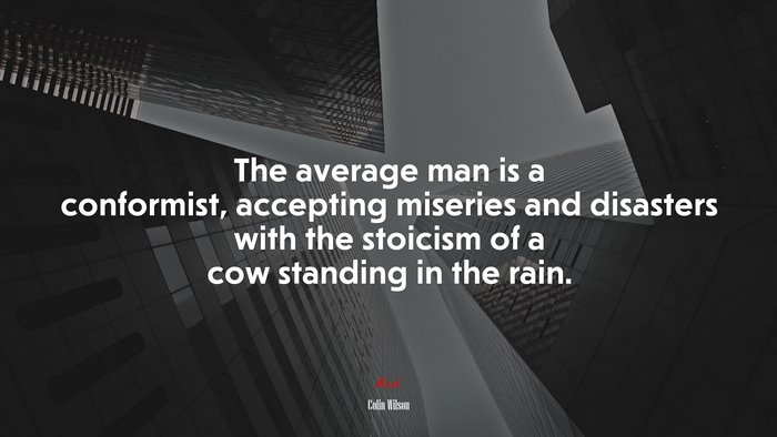 The average man is a conformist, accepting miseries and disasters with the stoicism of a cow standing in the rain. | Colin Wilson quote