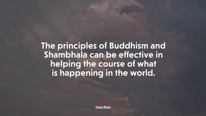The principles of Buddhism and Shambhala can be effective in helping the course of what is happening in the world. | Sakyong Mipham quote